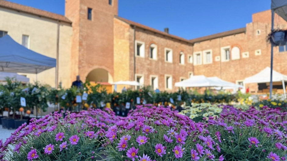 Novara, al Castello inaugurata l'edizione 2026 di 
